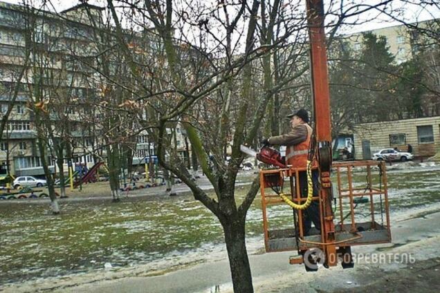 Готовятся к весне: во всех районах Киева проводят санитарную обрезку деревьев