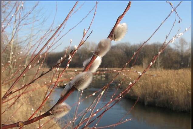 Время весны: на следующей неделе синоптики прогнозируют до +18