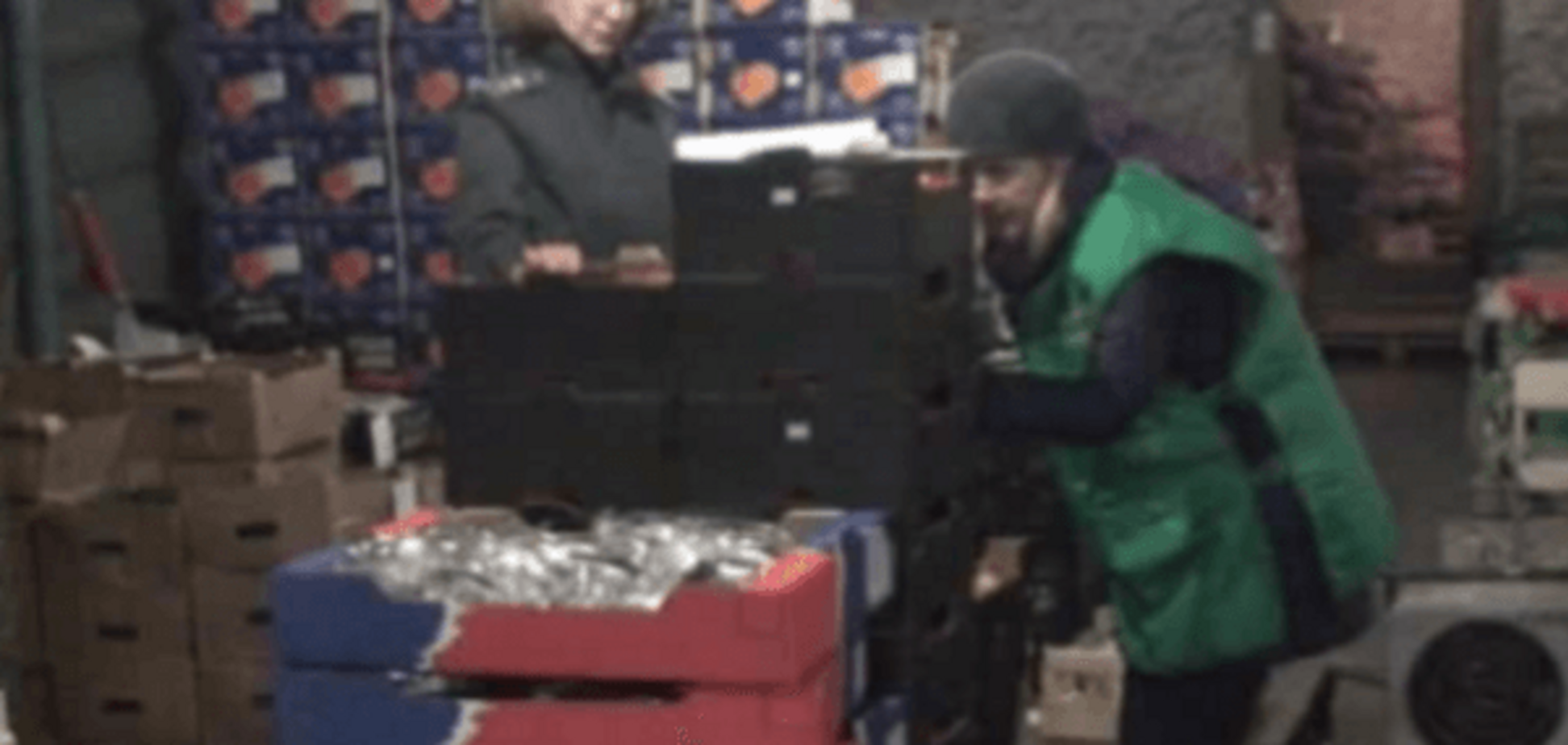 Безумие! В заполярном Мурманске сожгли 200 кг яблок и томатов: видеофакт