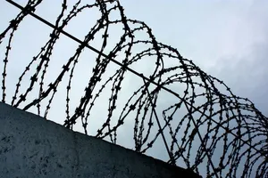 За "законом Савченко" на свободу вийде тисяча вбивць - голова Пенітенціарної служби