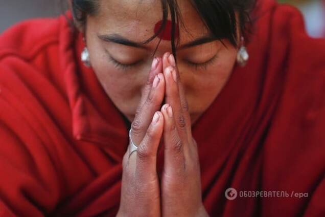 Ученые объяснили, как кара божья повлияла на эволюцию