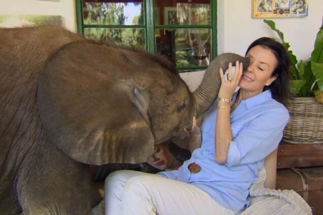 В Африке слоненок после спасения обрел человеческую 'маму': видеофакт