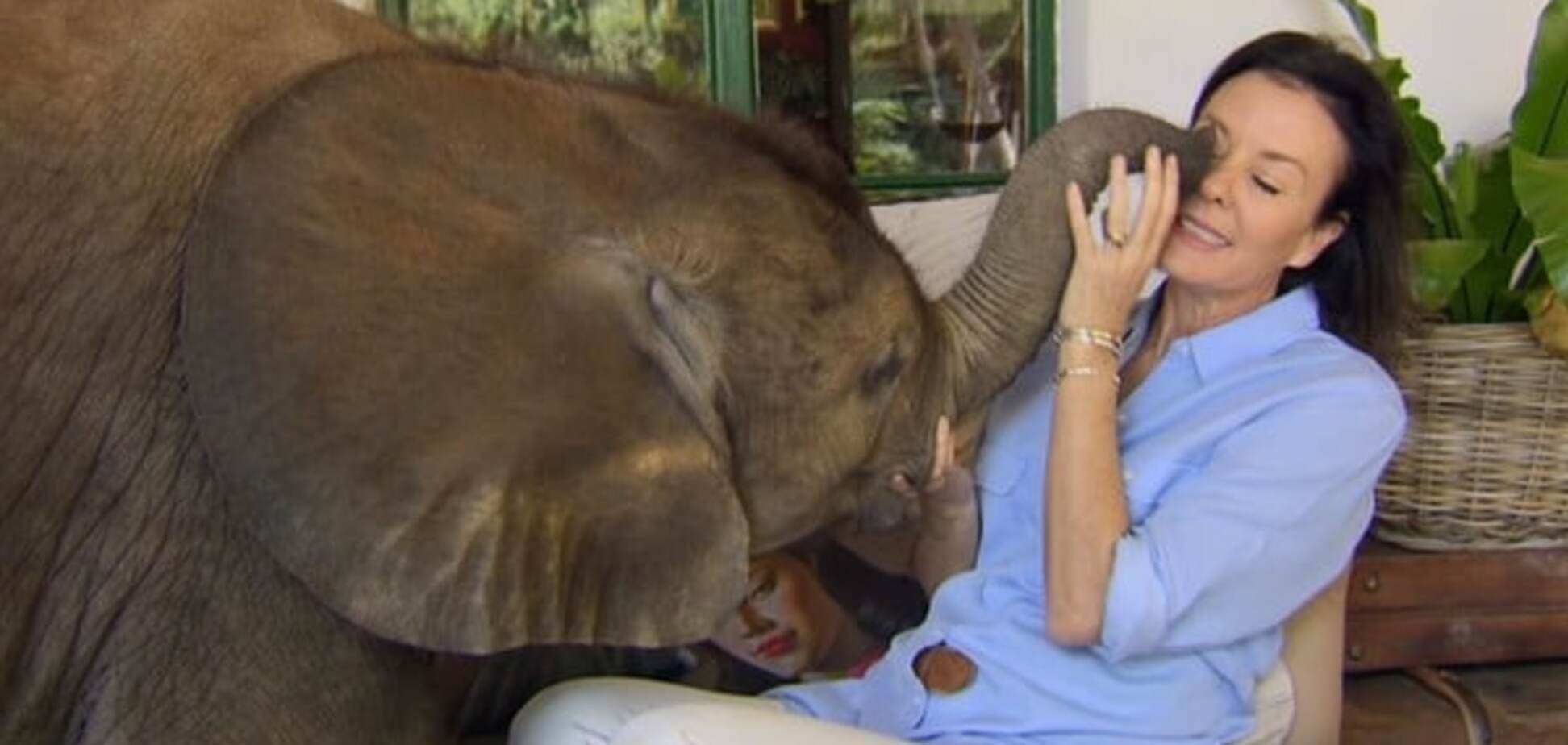 В Африке слоненок после спасения обрел человеческую 'маму': видеофакт
