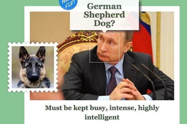 На каких собак похожи мировые лидеры: от Путина до Эрдогана