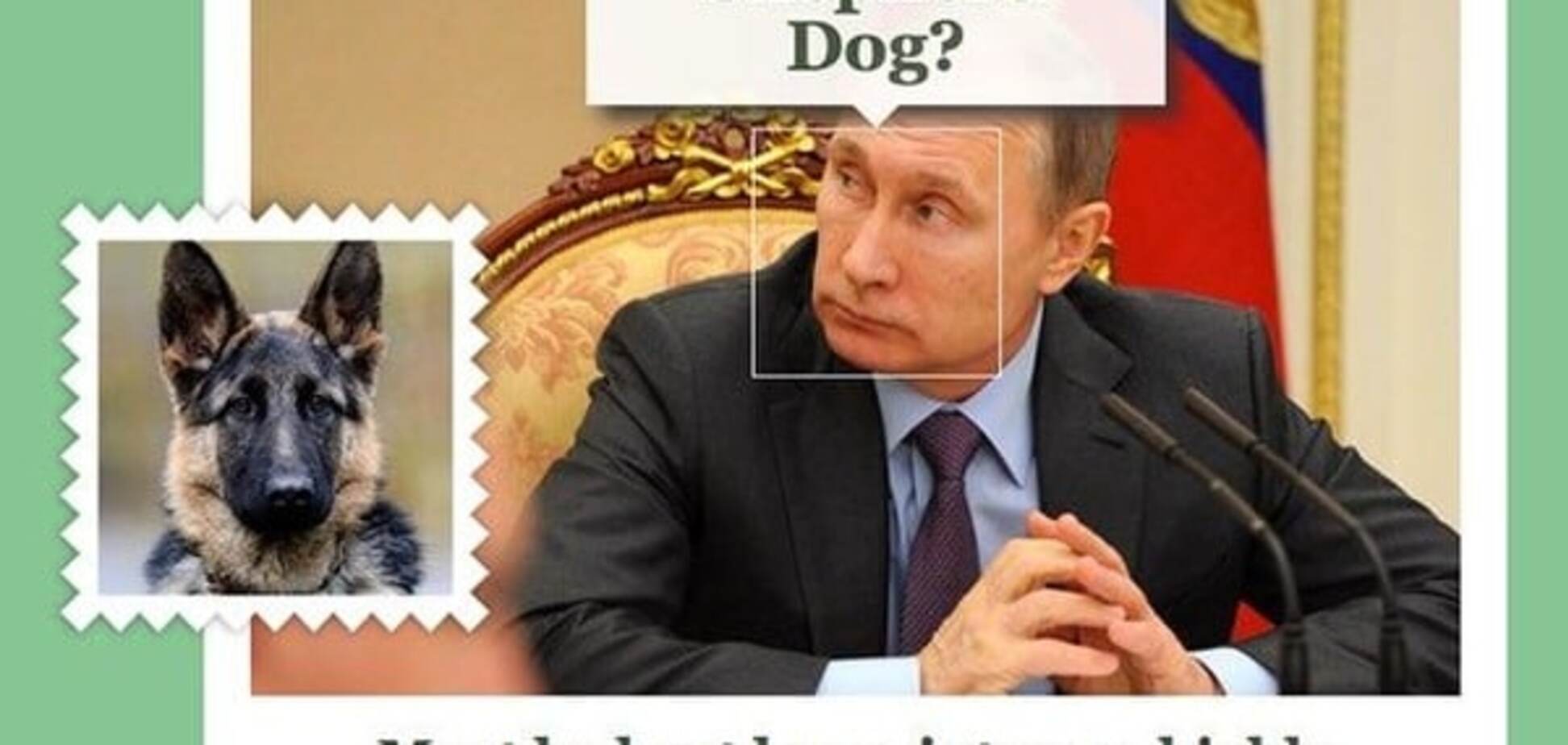На каких собак похожи мировые лидеры: от Путина до Эрдогана