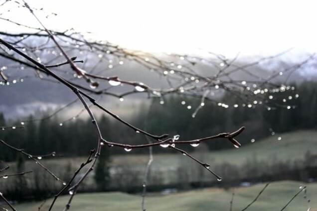 То в жар, то в холод: синоптики спрогнозували погоду в Україні до кінця тижня
