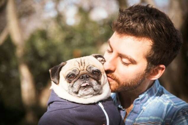 Любовь зла, полюбишь и ... пса. Трогательная фотосессия с мопсом