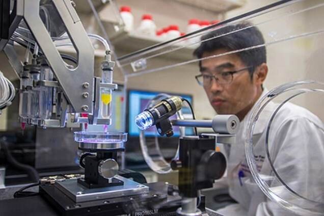 Биотехнологи впервые напечатали целый живой орган на 3D-принтере
