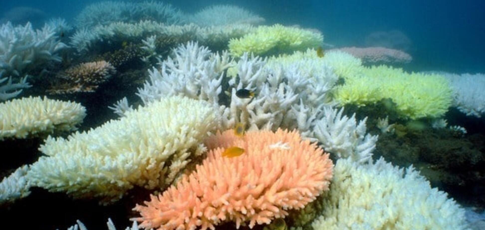 Ученые нашли причину зарождения 'сложной' жизни на Земле