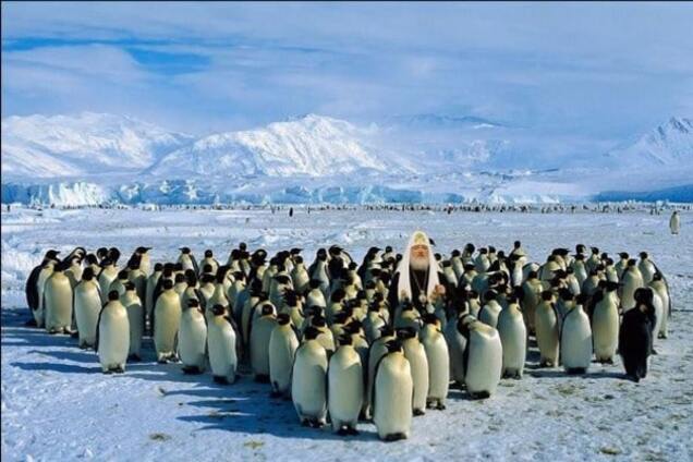 Російський патріарх Кирило відлетів у Антарктиду освячувати пінгвінів: реакція соцмереж