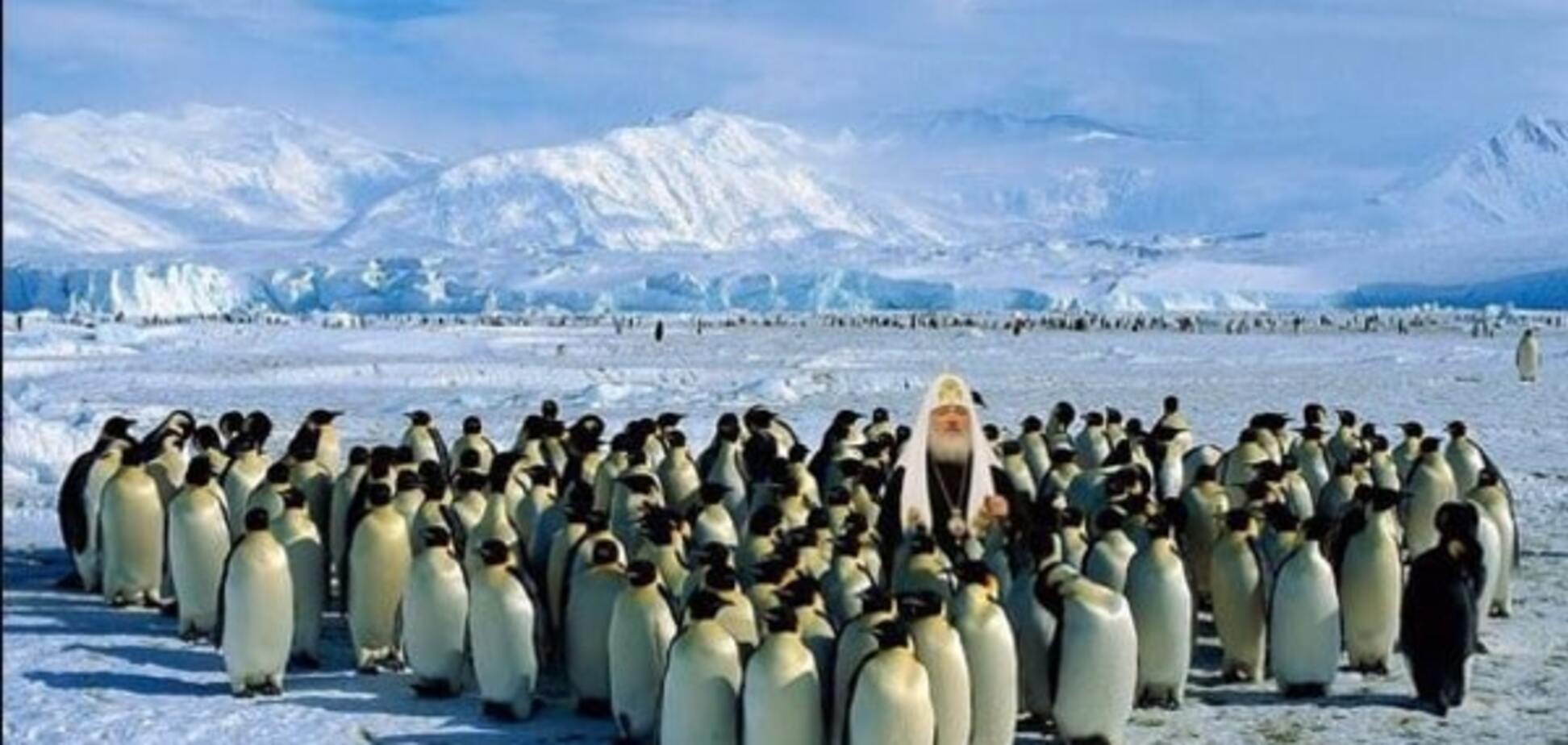 Российский патриарх Кирилл улетел в Антарктиду 'освящать пингвинов': реакция соцсетей