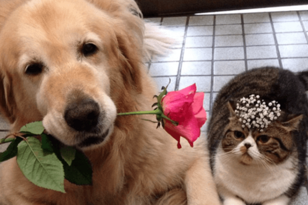 Твори добро:в среду отмечают самый милый праздник