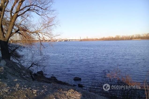 Уничтожить источник: Борейко предложил радикальный метод очистки воды в Днепре