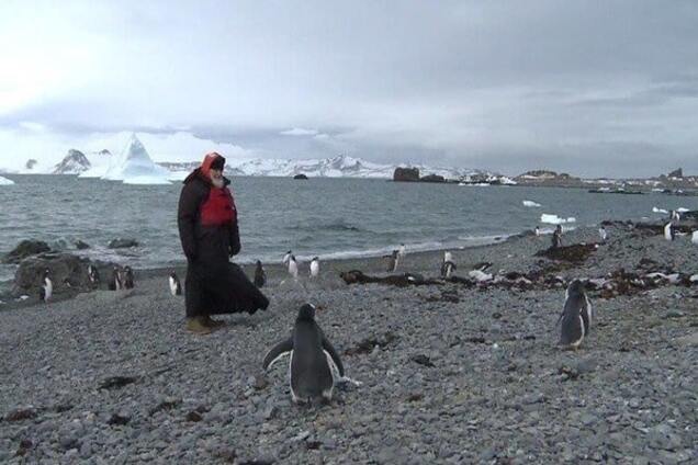 Патриарх Кирилл навестил пингвинов в Антарктиде