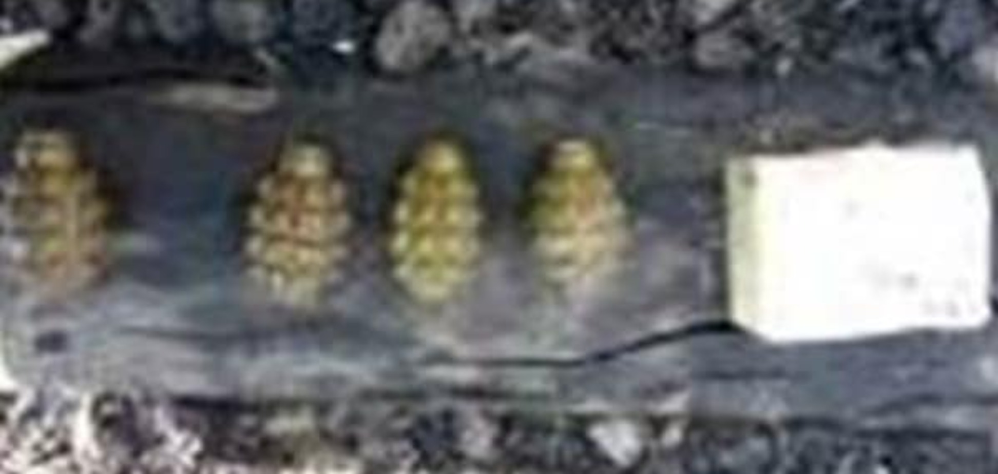 СБУ виявила на Донбасі дві схованки з вибухівкою