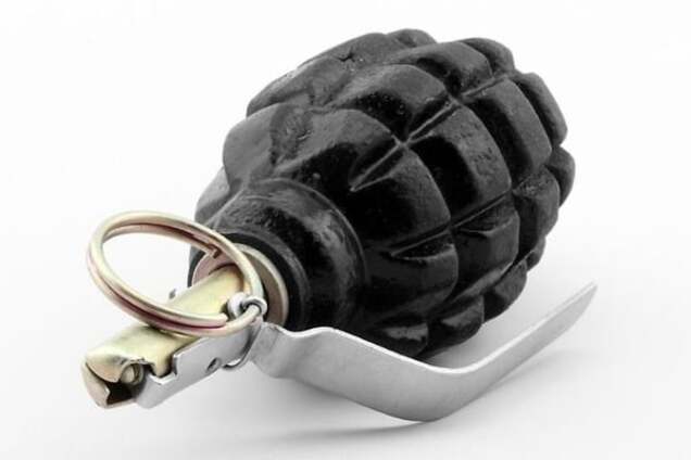 В Киеве будут судить дебошира, который угрожал полицейским гранатой