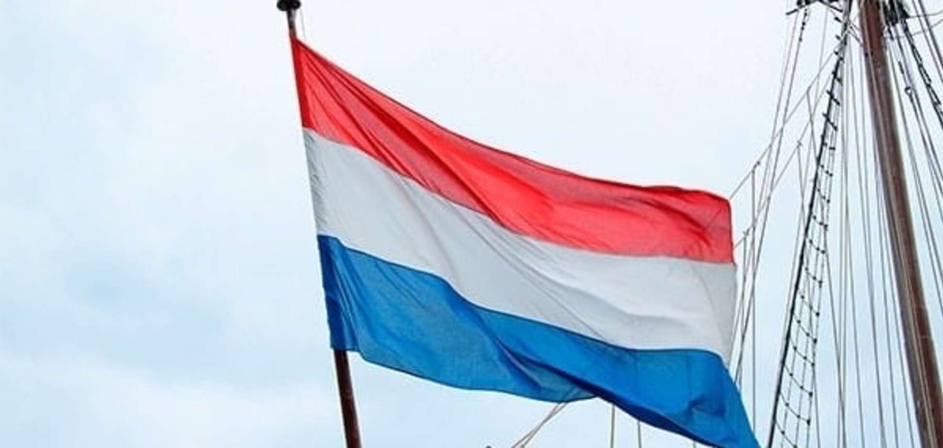 Референдум в Нидерландах: голландцев 'консультируют' с помощью антиукраинского сайта