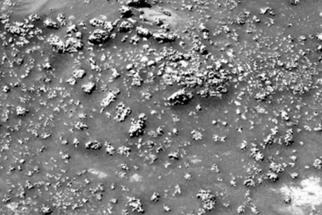 NASA нашло на Марсе следы древних организмов: фотофакт