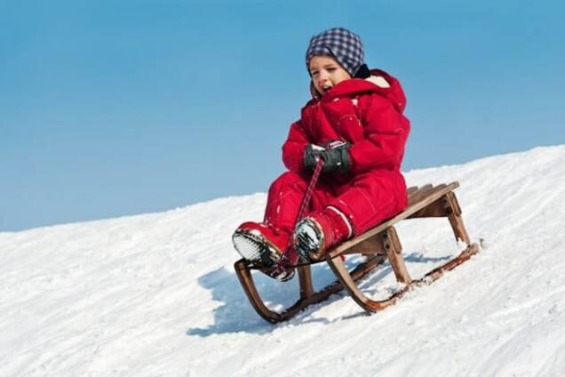 Порошенко предложили перенести летние каникулы на зиму