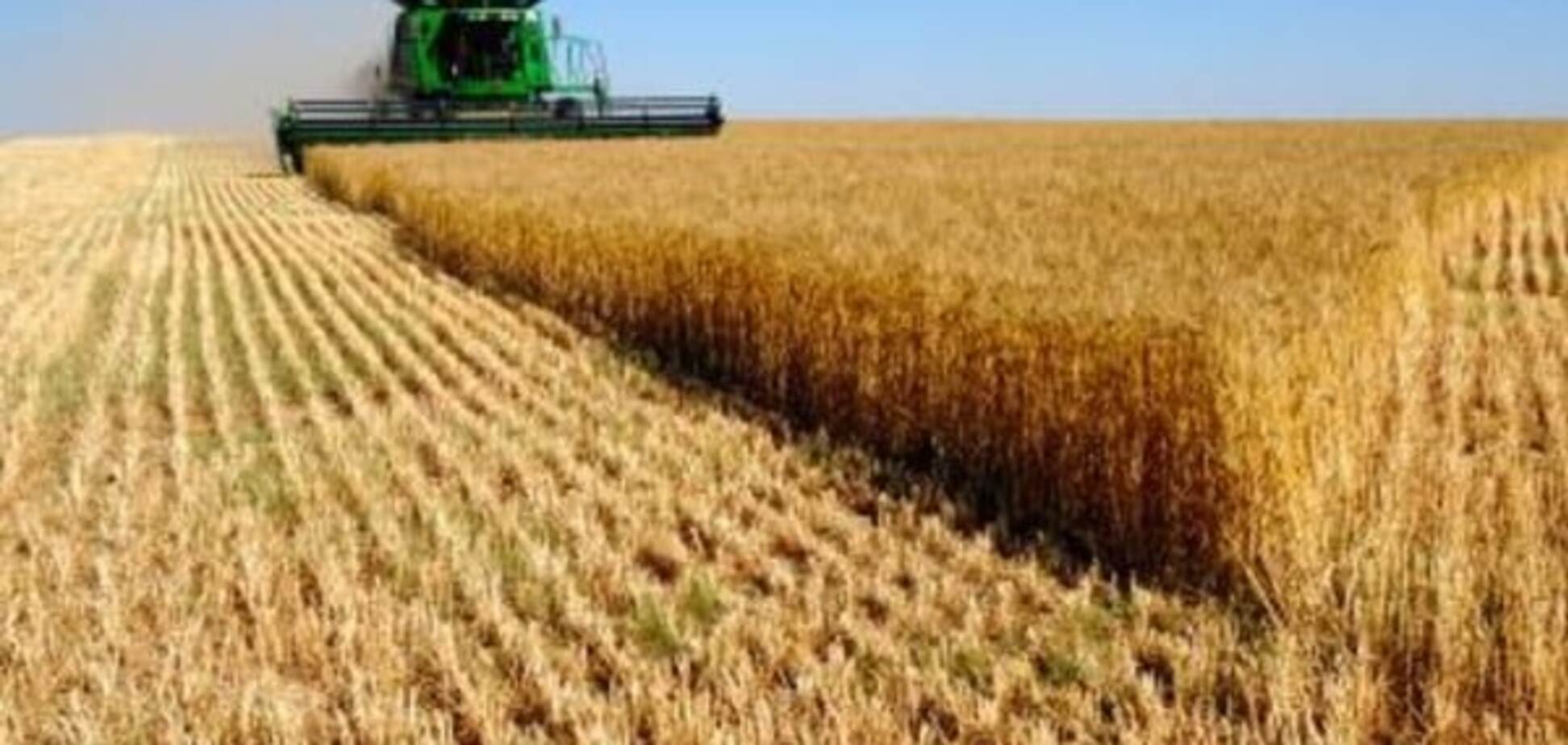 ​СМИ: в Харьковской области акционер обманом захватил крупный агрохолдинг