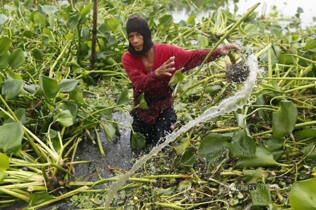 Ученые: умеренный аппетит человека спасет климат Земли
