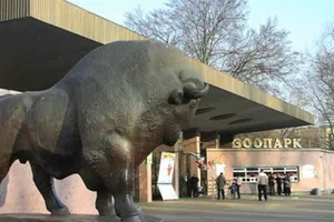 У київський зоопарк привезуть нових тварин