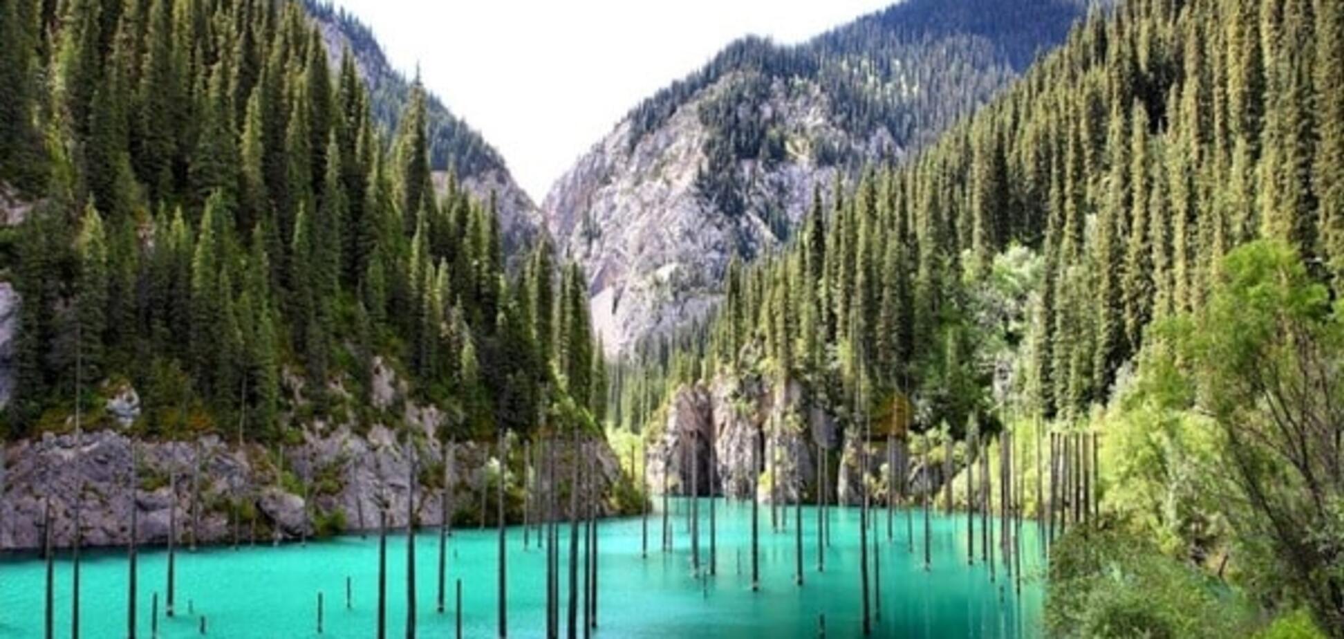 Удивительное озеро Каинды: затонувший лес в Казахстане