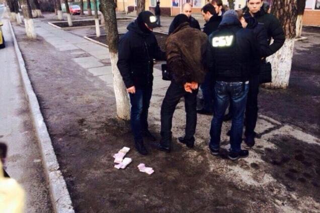 На Киевщине депутат попался на взятке в более 100 тыс. гривен, — Ольга Варченко