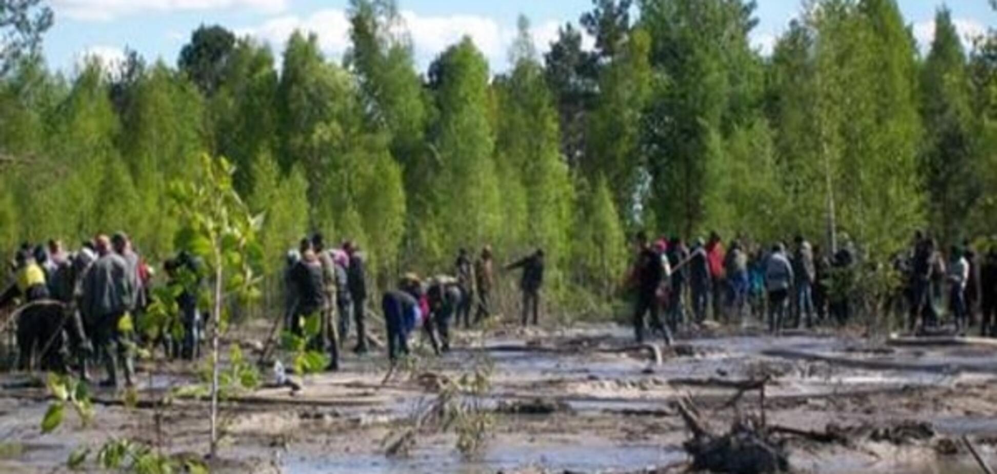 'Бурштинова лихоманка' загрожує Україні екологічною катастрофою