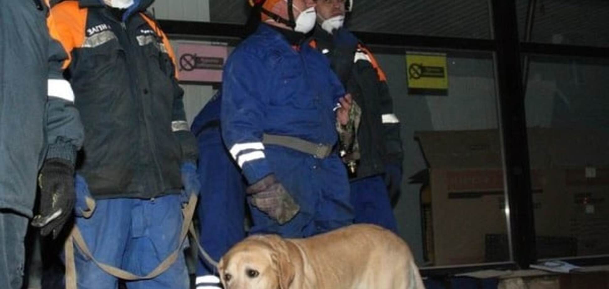 Обвал дома в Киеве: лабрадор-чемпион помог найти пострадавшего