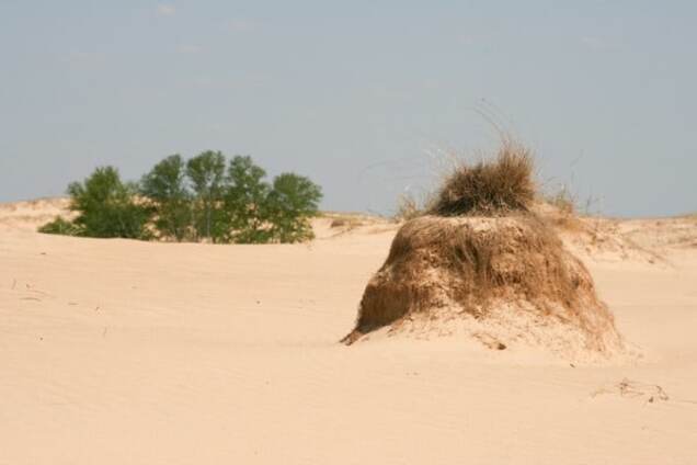 Украинской армии придется воевать за Крым в пустыне - Яременко