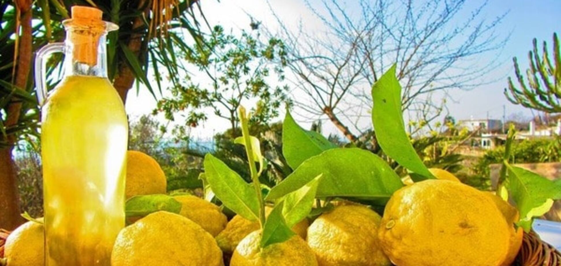Вкус солнечной Италии: как появился напиток Лимончелло
