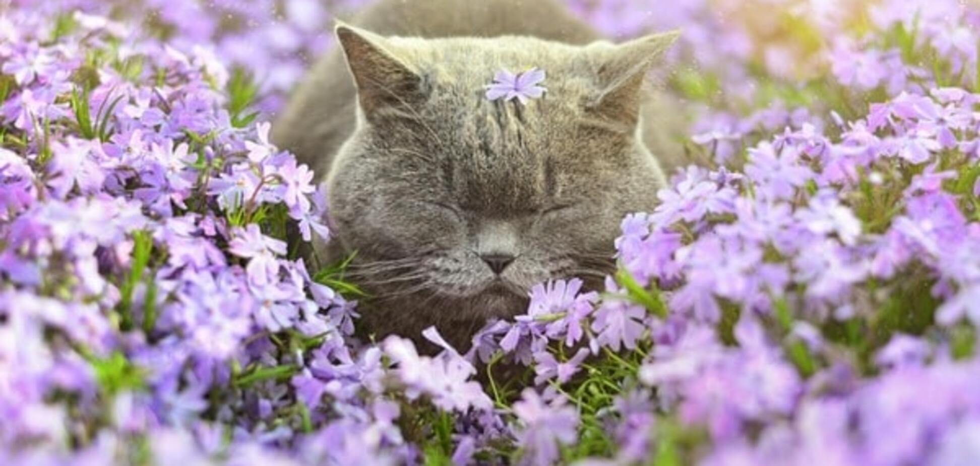 Пробуждение природы: 20 животных, которые ждут весны. Фоторепортаж