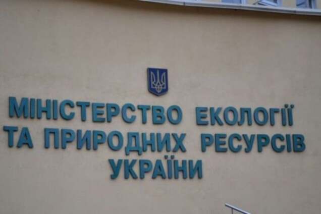 Кабмин назначил врио министра экологии