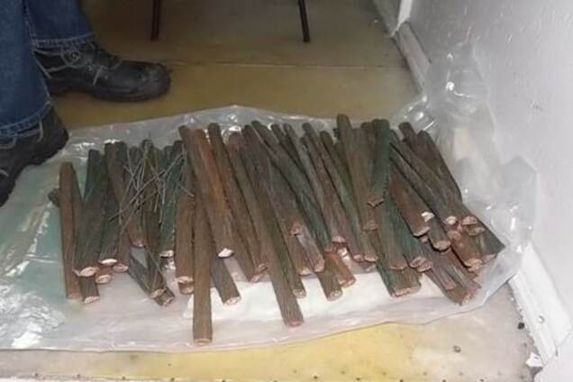 Рискнул здоровьем: на Киевщине мужчина вез опасный сюрприз из Чернобыля