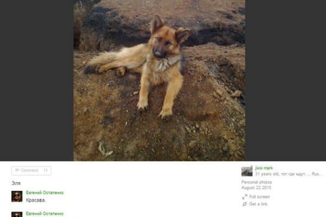 'Русский мир' во всей красе: террористы 'ДНР' начали есть собак. Шокирующие фото