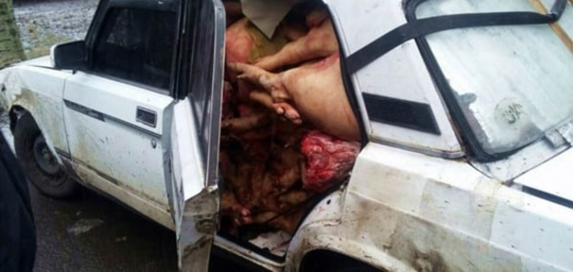 Полиция на пути в 'ДНР' задержала огромную 'мясную' контрабанду: фотофакт