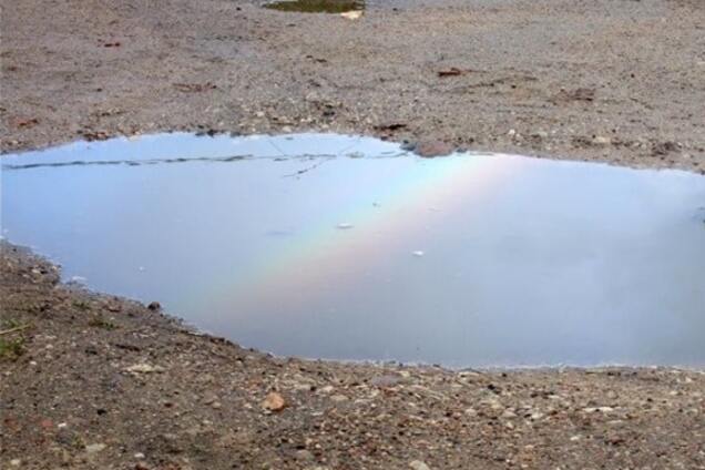 В луже Севастополя обнаружили удивительную украинскую находку: фотофакт