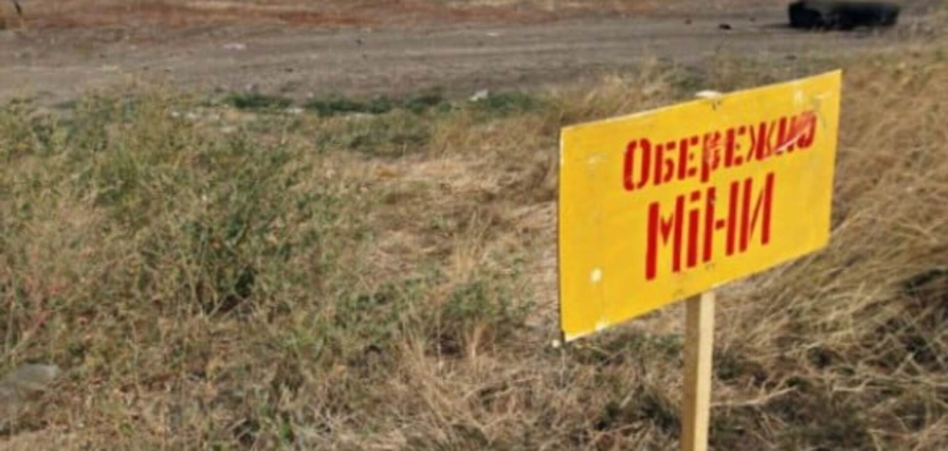 В Україні почнуть випускати 3D міношукачі