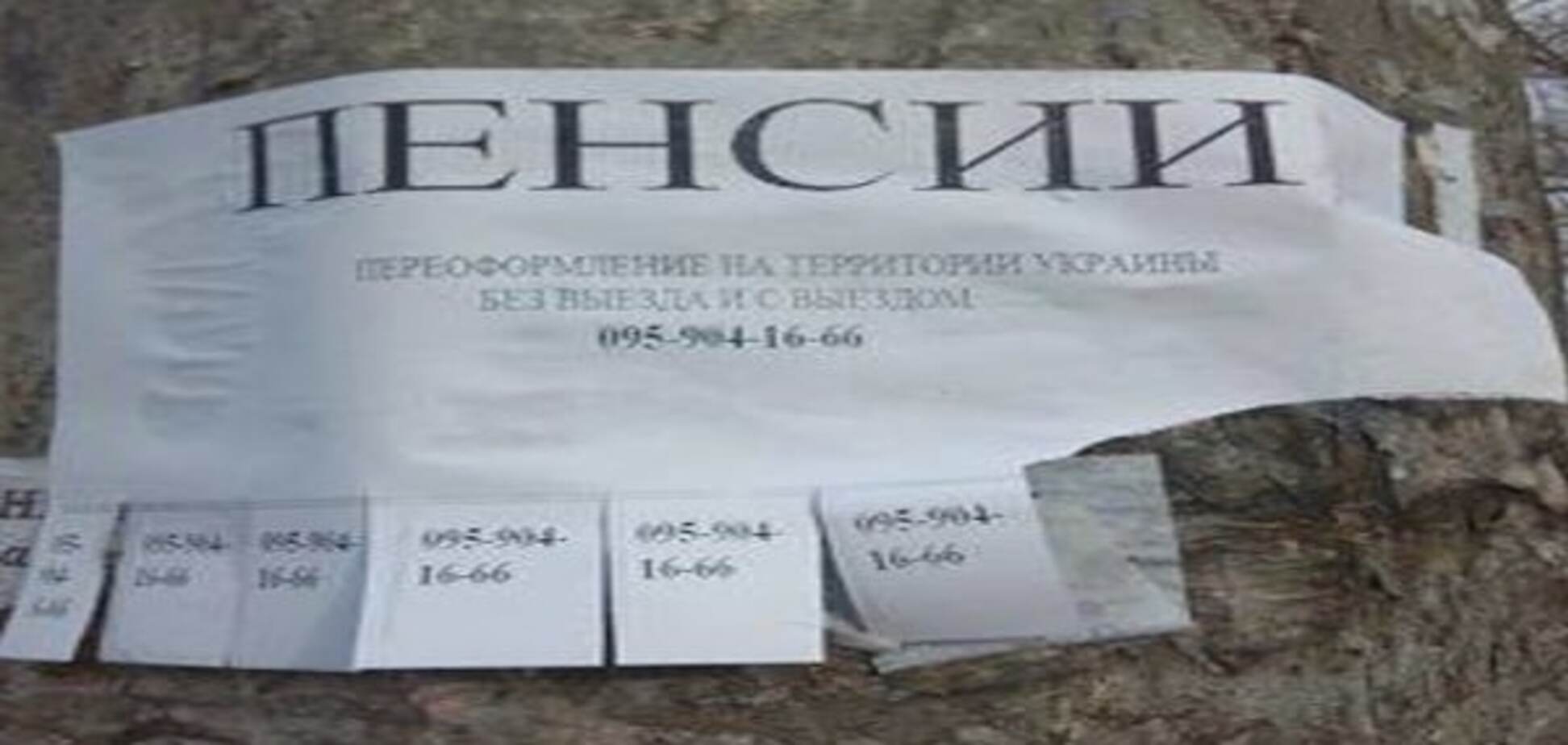 Негодная система: Казанский предложил способ не платить пенсии 'ДНР-ЛНР'
