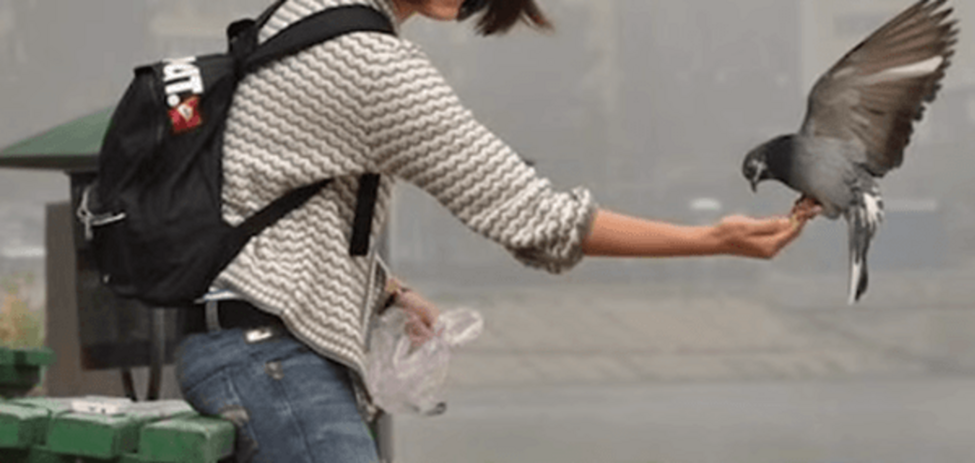 'Шлях додому': студенты создали ролик о Донецке на песню Джамалы