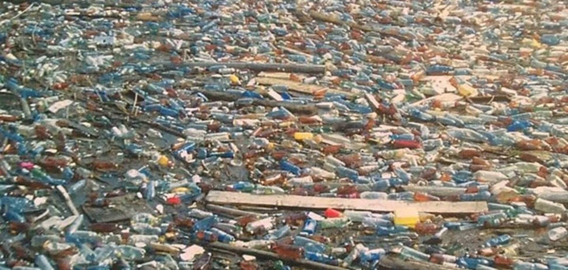 В Карпатах образовалось 'мусорное море': опубликовано фото