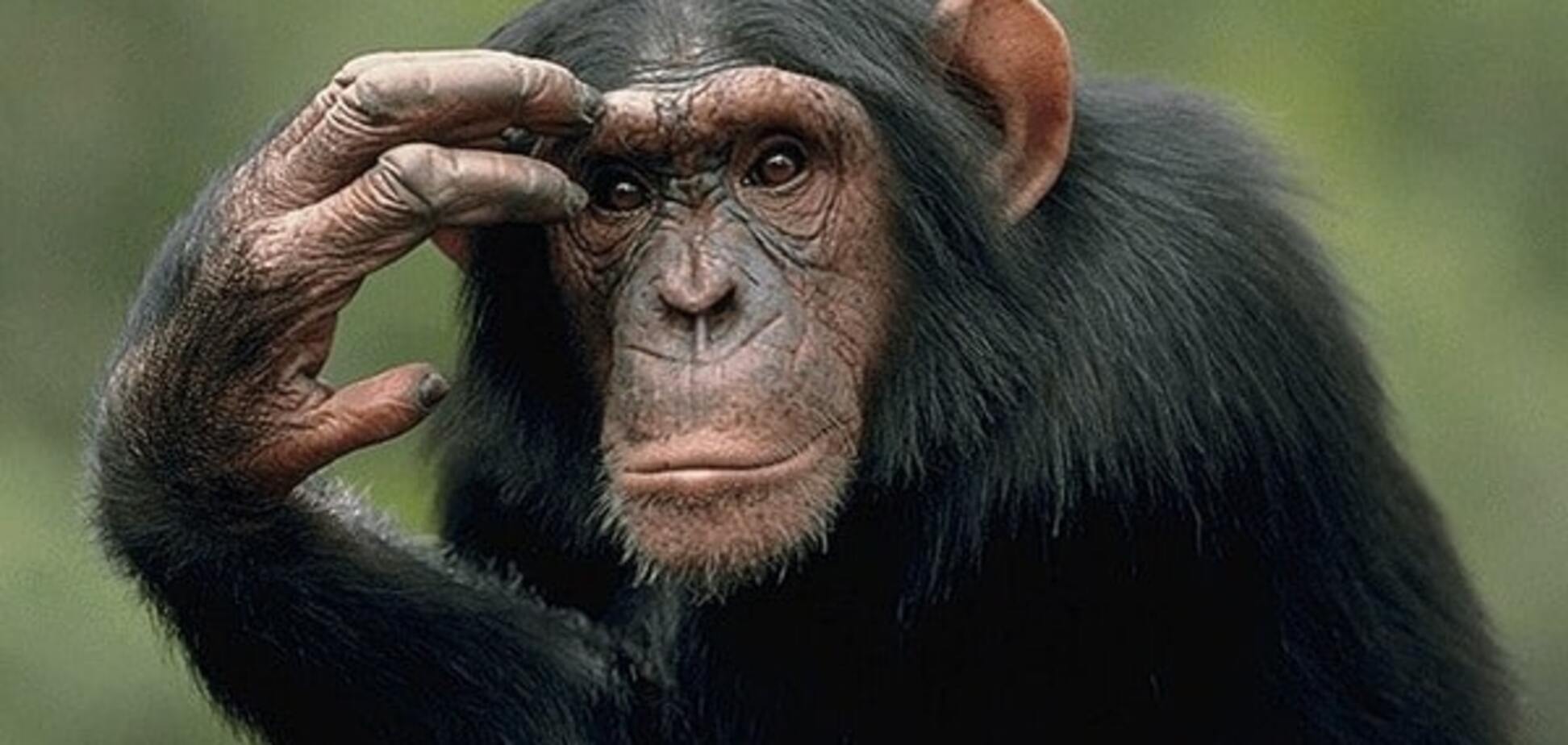 Він настав: астролог Влад Росс розповів, що робити в перший день року Мавпи