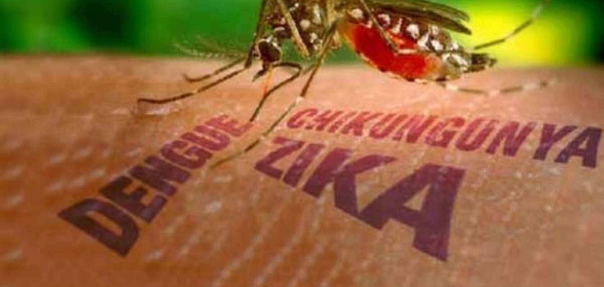 Обама виділить на боротьбу з вірусом Зика астрономічну суму