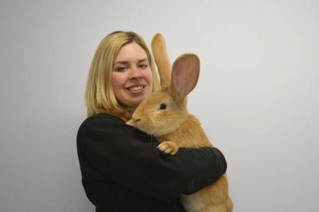 В Шотландии кролик вырос размером с собаку