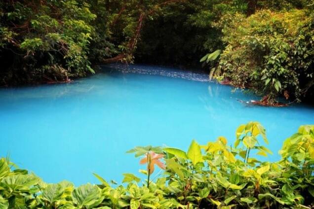 Чудо природы: фото реки в Коста-Рике, окрашенной в необычный цвет