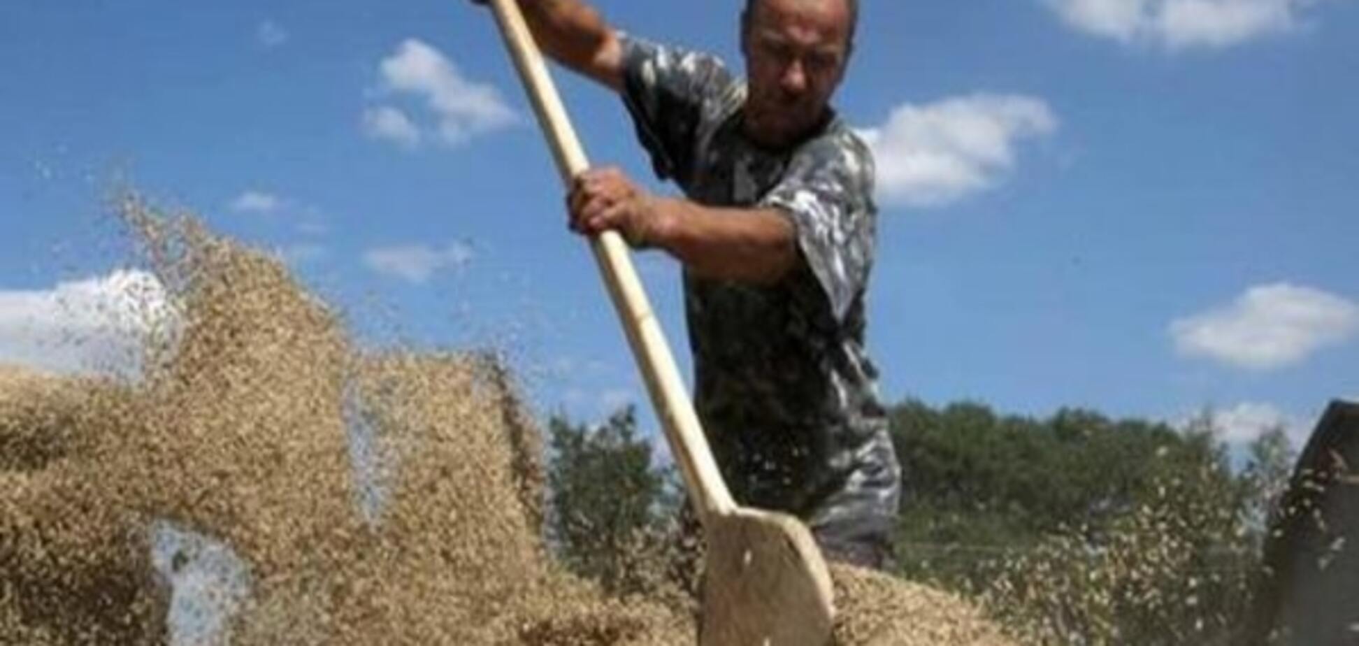 Павленко: Німецькі експерти консультуватимуть українських аграріїв щодо виходу на ринки ЄС