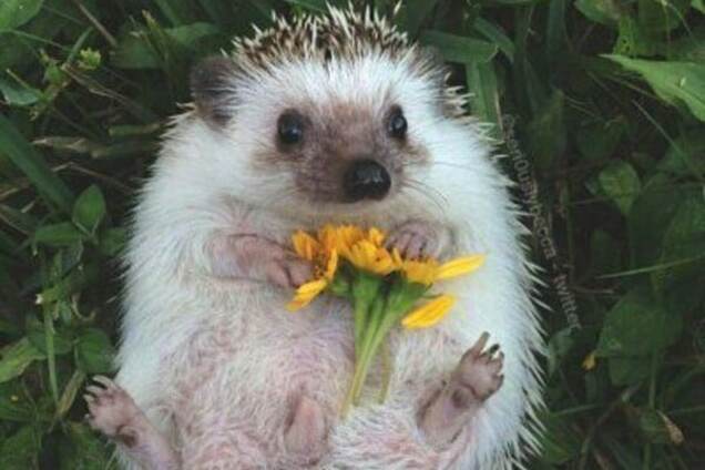 С первым днем весны: как радуются и шутят в соцсетях