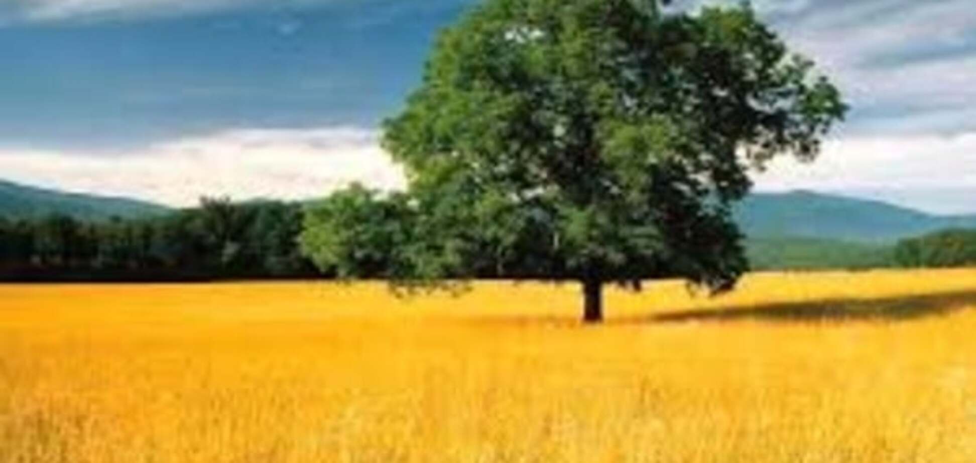 Фурса в красках расписал, что сделают 'злобные дяди' с украинской землей