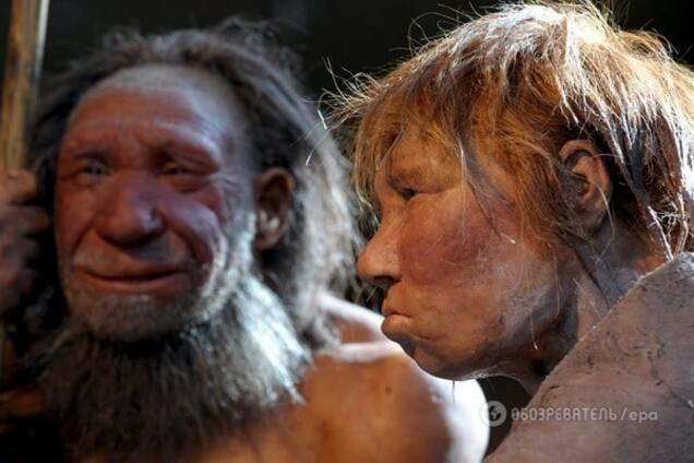 Ученые увидели в неандертальцах первобытных 'гениев' химии